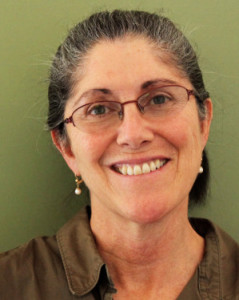 Elisa